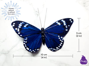 Blue Monarch Feather Butterflies